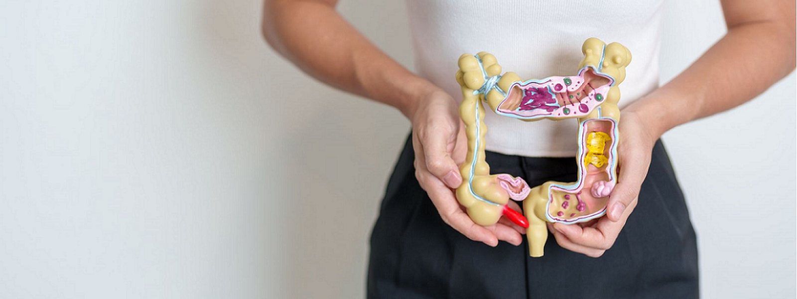 girl holding human colon model