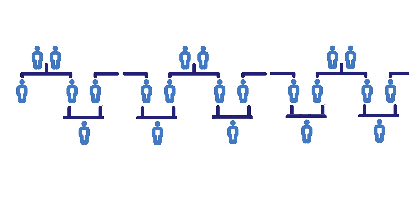 Flowchart of family history