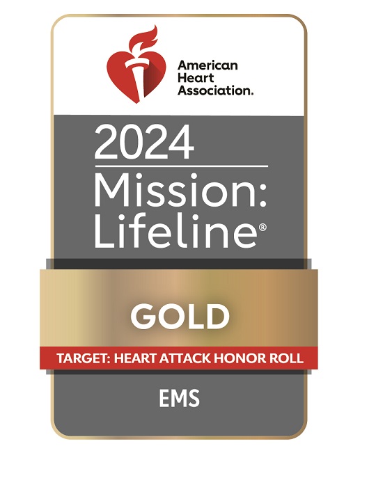 Banner that reads AHA 2024 Mission: Lifeline Gold Award