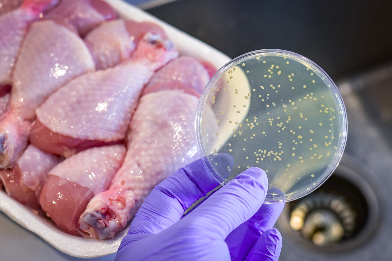 Meat and germs on petri dish