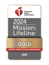 Banner that reads AHA 2024 Mission: Lifeline Gold Award